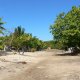 39- La rue principale du village de Somosomo 
